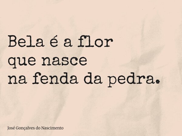 Bela é a flor que nasce na fenda da pedra.... Frase de José Gonçalves do Nascimento.