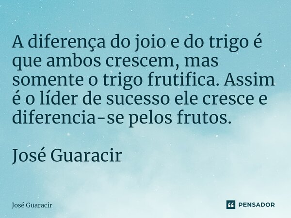 ⁠A diferença do joio e do trigo é que ambos crescem, mas somente o trigo frutifica. Assim é o líder de sucesso ele cresce e diferencia-se pelos frutos. José Gua... Frase de José Guaracir.