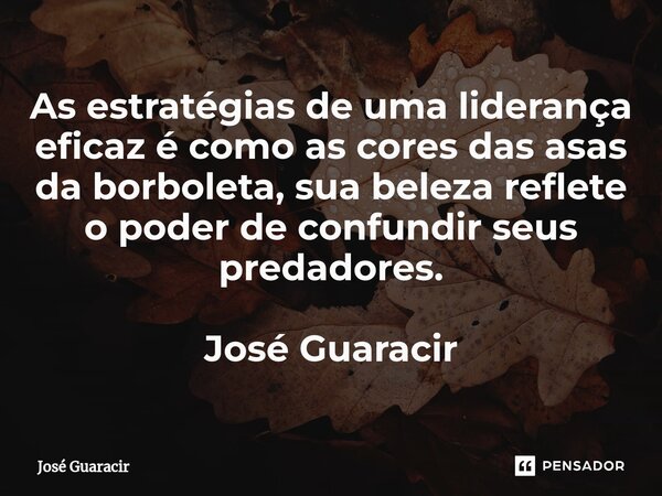 ⁠As estratégias de uma liderança eficaz é como as cores das asas da borboleta, sua beleza reflete o poder de confundir seus predadores. José Guaracir... Frase de José Guaracir.
