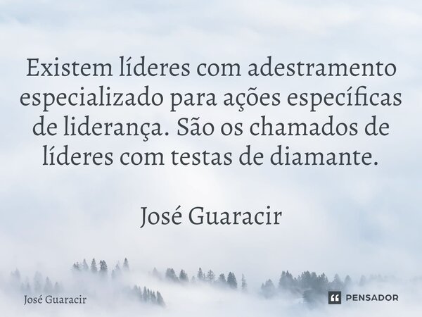 ⁠Existem líderes com adestramento especializado para ações específicas de liderança. São os chamados de líderes com testas de diamante. José Guaracir... Frase de José Guaracir.