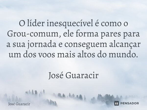 ⁠O líder inesquecível é como o Grou-comum, ele forma pares para a sua jornada e conseguem alcançar um dos voos mais altos do mundo. José Guaracir... Frase de José Guaracir.