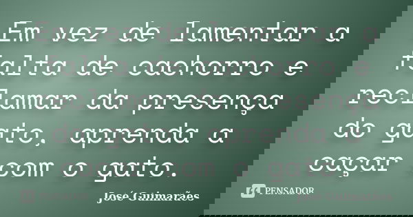 Em vez de lamentar a falta de cachorro e reclamar da presença do gato, aprenda a caçar com o gato.... Frase de José Guimarães.