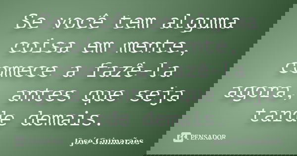 Se você tem alguma coisa em mente, comece a fazê-la agora, antes que seja tarde demais.... Frase de José Guimarães.