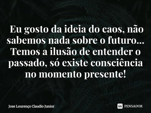 ⁠ Eu gosto da ideia do caos, não sabemos nada sobre o futuro... Temos a ilusão de entender o passado, só existe consciência no momento presente!... Frase de Jose Lourenço Claudio Junior.