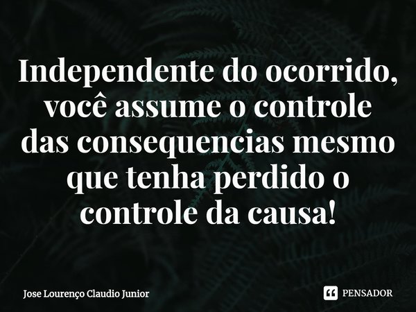 ⁠Independente do ocorrido, você assume o controle das consequencias mesmo que tenha perdido o controle da causa!... Frase de Jose Lourenço Claudio Junior.