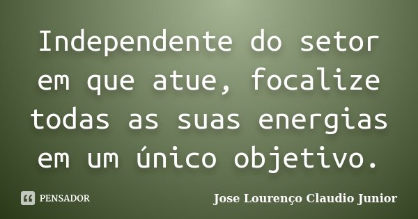 Independente do setor em que atue, focalize todas as suas energias em um único objetivo.... Frase de Jose Lourenço Claudio Junior.