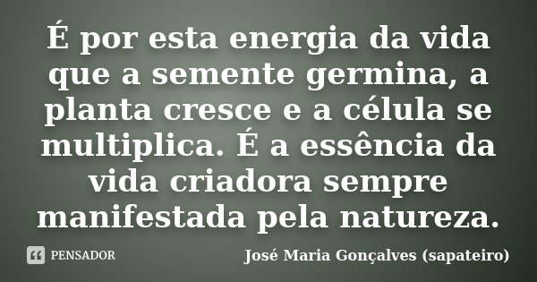 É por esta energia da vida que a semente germina, a planta cresce e a célula se multiplica. É a essência da vida criadora sempre manifestada pela natureza.... Frase de José Maria Gonçalves (sapateiro).