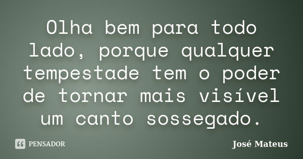 Olha bem para todo lado, porque qualquer tempestade tem o poder de tornar mais visível um canto sossegado.... Frase de José Mateus.