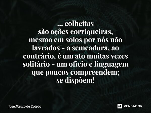 ⁠... colheitas são ações corriqueiras, mesmo em solos por nós não lavrados - a semeadura, ao contrário, é um ato muitas vezes solitário - um ofício e linguagem ... Frase de José Mauro de Toledo.
