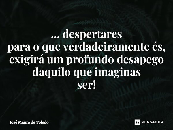 ⁠... despertares para o que verdadeiramente és, exigirá um profundo desapego daquilo que imaginas ser!... Frase de José Mauro de Toledo.