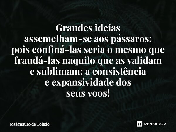 ⁠Grandes ideias assemelham-se aos pássaros; pois confiná-las seria o mesmo que fraudá-lasnaquilo que as validam e sublimam: a consistência e expansividade dos s... Frase de José mauro de Toledo..