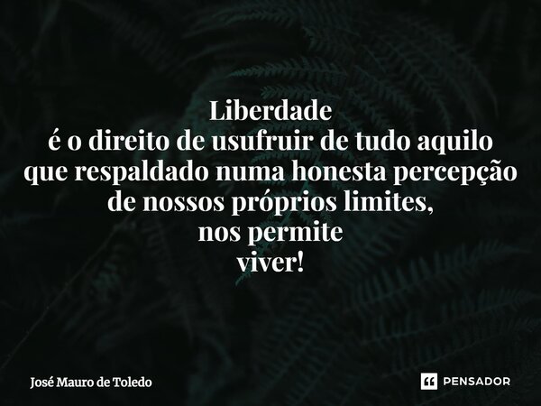 ⁠Liberdade é o direito de usufruir de tudo aquilo que respaldado numa honesta percepção de nossos próprios limites, nos permite viver!... Frase de José Mauro de Toledo.