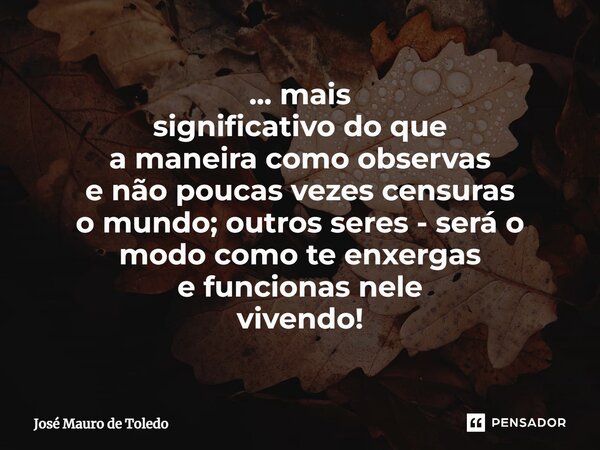 ⁠... mais significativo do que a maneira como observas e não poucas vezes censuras o mundo; outros seres - será o modo como te enxergas e funcionas nele vivendo... Frase de José Mauro de Toledo.