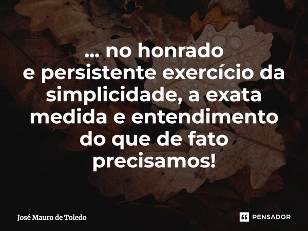 ⁠... no honrado e persistente exercício da simplicidade, a exata medida e entendimento do que de fato precisamos!... Frase de José Mauro de Toledo.