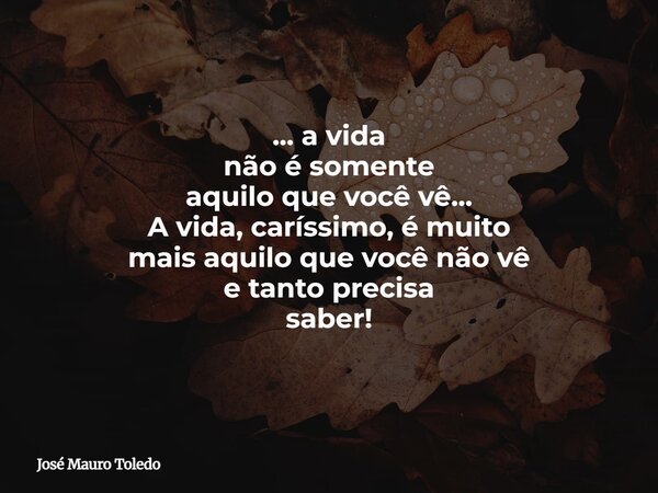 ... a vida não é somente aquilo que você vê... A vida, caríssimo, é muito mais aquilo que você não vê e tantoprecisa saber!... Frase de José Mauro Toledo.