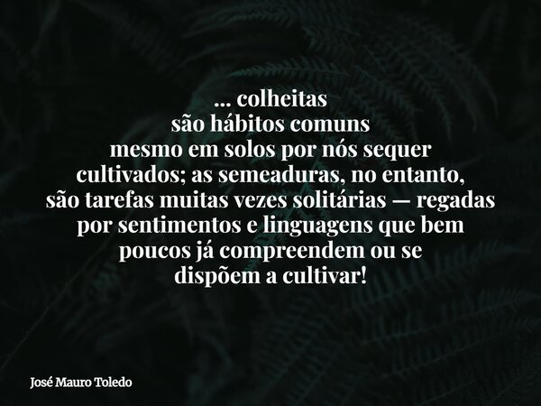 ... colheitas são hábitos comuns mesmo em solos por nós sequer cultivados; as semeaduras, no entanto, são tarefas muitas vezes solitárias — regadas por sentimen... Frase de José Mauro Toledo.