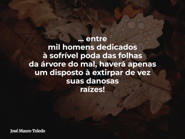 ... entre mil homens dedicados à sofrível poda das folhas da árvore do mal, haverá apenas um disposto à extirpar de vez suas danosas raízes!... Frase de José Mauro Toledo.