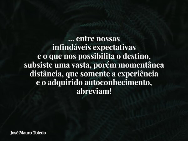 ... entre nossas infindáveis expectativas e o que nos possibilita o destino, subsiste uma vasta, porém momentânea distância, que somente a experiência e o adqui... Frase de José Mauro Toledo.