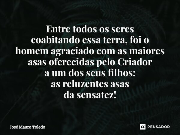 ⁠Entre todos os seres coabitando essa terra, foi o homem agraciado com as maiores asas oferecidas pelo Criador a um dos seus filhos: as reluzentes asas da sensa... Frase de José Mauro Toledo.