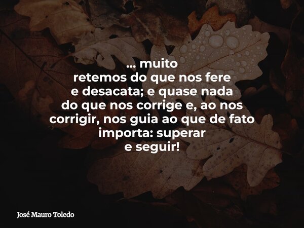... muito retemos do que nos fere e desacata; e quase nada do que nos corrige e, ao nos corrigir, nos guia ao que de fato importa: superar e seguir!... Frase de José Mauro Toledo.