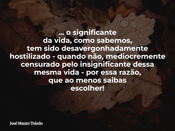 ... o significante da vida, como sabemos, tem sido desavergonhadamente hostilizado - quando não, mediocremente censurado pelo insignificante dessa mesma vida - ... Frase de José Mauro Toledo.