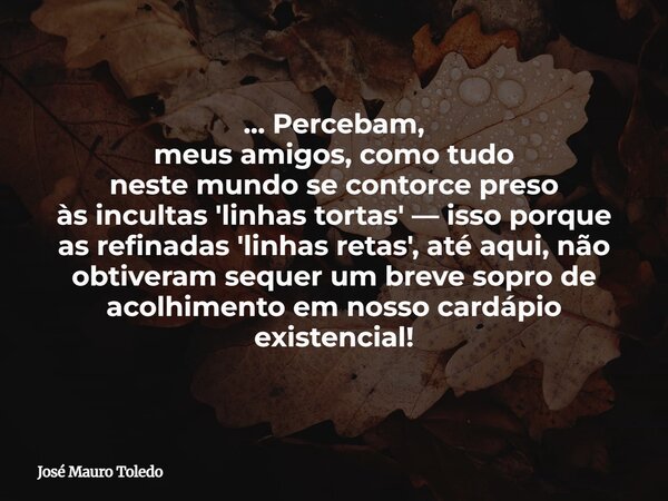 ... Percebam, meus amigos, como tudo neste mundo se contorce preso às incultas 'linhas tortas' — isso porque as refinadas 'linhas retas', até aqui, não obtivera... Frase de José Mauro Toledo.