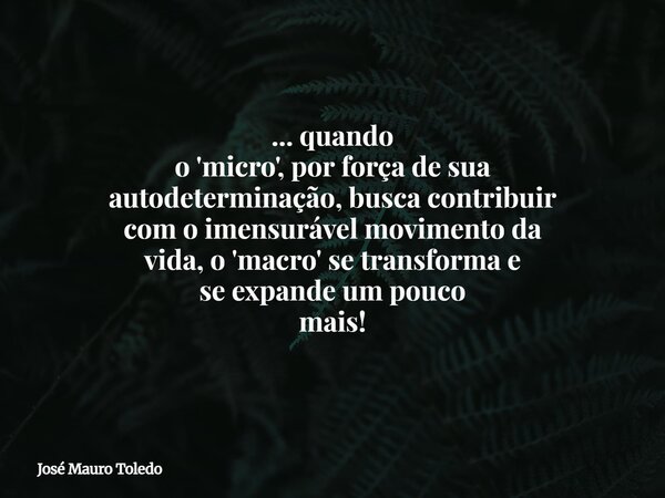 ... quando o 'micro', por força de sua autodeterminação, busca contribuir com o imensurável movimento da vida, o 'macro' se transforma e se expande um pouco mai... Frase de José Mauro Toledo.