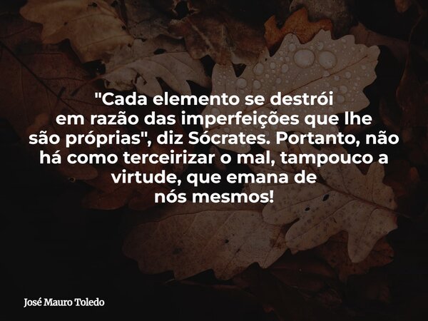 "Cada elemento se destrói em razão das imperfeições que lhe são próprias",diz Sócrates. Portanto, não há como terceirizar o mal, tampouco a virtude, q... Frase de José Mauro Toledo.