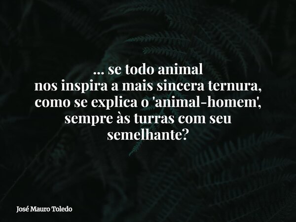 ... se todo animal nos inspira a mais sincera ternura, como se explica o 'animal-homem', sempre às turras com seu semelhante?... Frase de José Mauro Toledo.