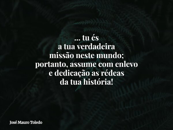 ... tu és a tua verdadeira missão neste mundo; portanto, assume com enlevo e dedicação as rédeas da tua história!... Frase de José Mauro Toledo.