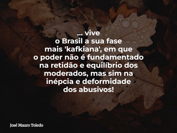 ... vive o Brasil a sua fase mais 'kafkiana', em que o poder não é fundamentado na retidão e equilíbrio dos moderados, mas sim na inépcia e deformidade dos abus... Frase de José Mauro Toledo.