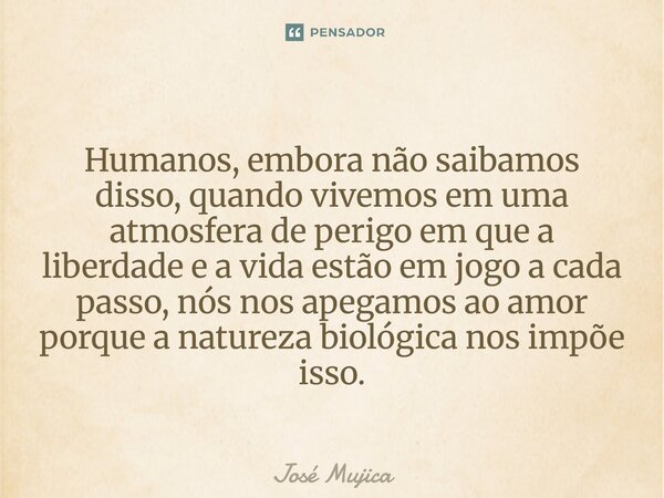Humanos, embora não saibamos disso, quando vivemos em uma atmosfera de perigo em que a liberdade e a vida estão em jogo a cada passo, nós nos apegamos ao amor ... Frase de José Mujica.
