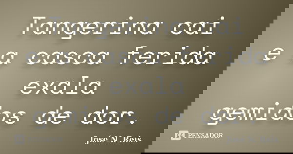 Tangerina cai
e a casca ferida exala
gemidos de dor.... Frase de José N. Reis.
