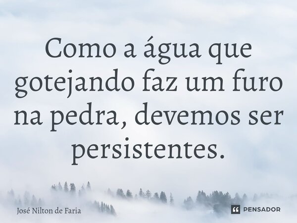 ⁠Como a água que gotejando faz um furo na pedra, devemos ser persistentes.... Frase de José Nilton de Faria.