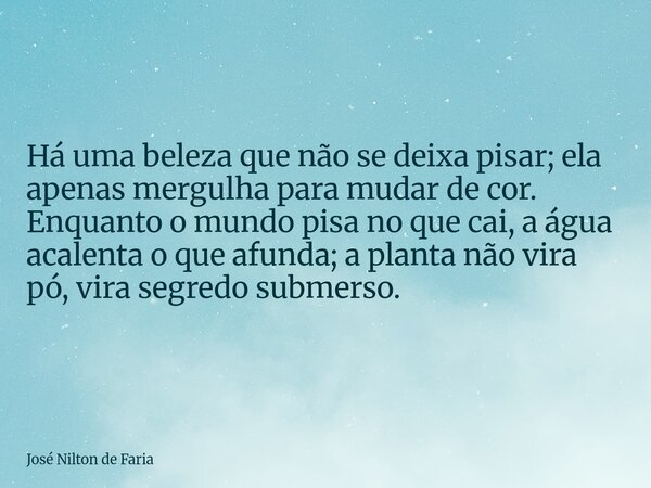 Há uma beleza que não se deixa pisar; ela apenas mergulha para mudar de cor. ​Enquanto o mundo pisa no que cai, a água acalenta o que afunda; a planta não vira ... Frase de José Nilton de Faria.