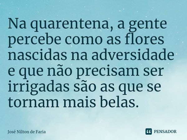 ⁠Na quarentena, a gente percebe como as flores nascidas na adversidade e que não precisam ser irrigadas são as que se tornam mais belas.... Frase de José Nilton de Faria.