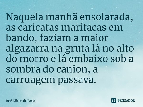 ⁠Naquela manhã ensolarada, as caricatas maritacas em bando, faziam a maior algazarra na gruta lá no alto do morro e lá embaixo sob a sombra do canion, a carruag... Frase de José Nilton de Faria.