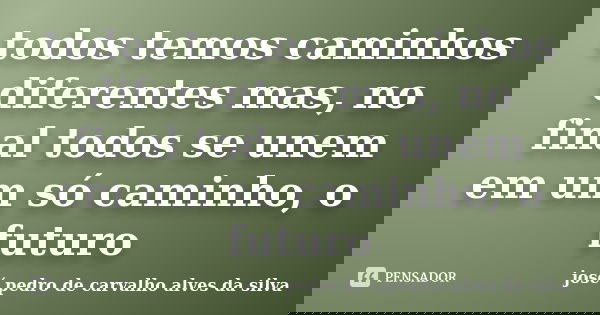 todos temos caminhos diferentes mas, no final todos se unem em um só caminho, o futuro... Frase de josé pedro de carvalho alves da silva.