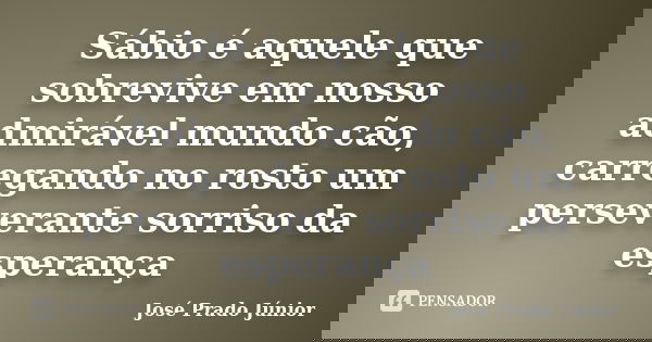 Sábio é aquele que sobrevive em nosso admirável mundo cão, carregando no rosto um perseverante sorriso da esperança... Frase de José Prado Júnior.