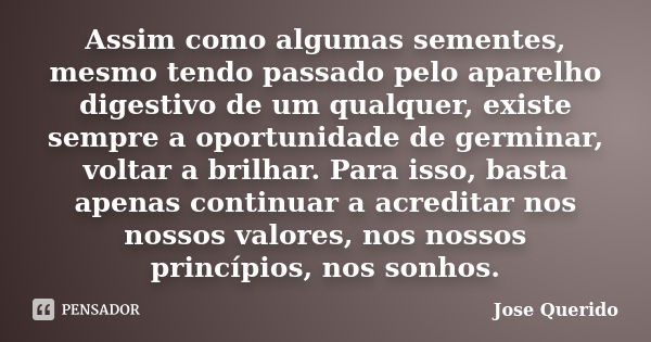 Assim como algumas sementes, mesmo tendo passado pelo aparelho digestivo de um qualquer, existe sempre a oportunidade de germinar, voltar a brilhar. Para isso, ... Frase de Jose Querido.