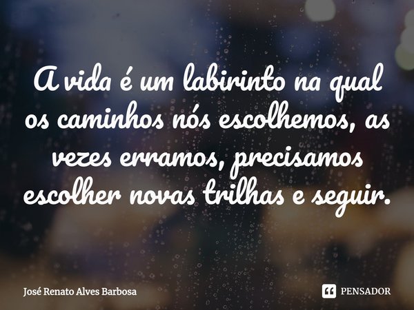 ⁠A vida é um labirinto na qual os caminhos nós escolhemos, as vezes erramos, precisamos escolher novas trilhas e seguir.... Frase de José Renato Alves Barbosa.