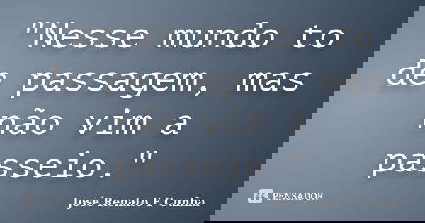 "Nesse mundo to de passagem, mas não vim a passeio."... Frase de José Renato F Cunha.