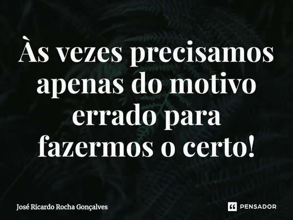⁠Às vezes precisamos apenas do motivo errado para fazermos o certo!... Frase de José Ricardo Rocha Gonçalves.