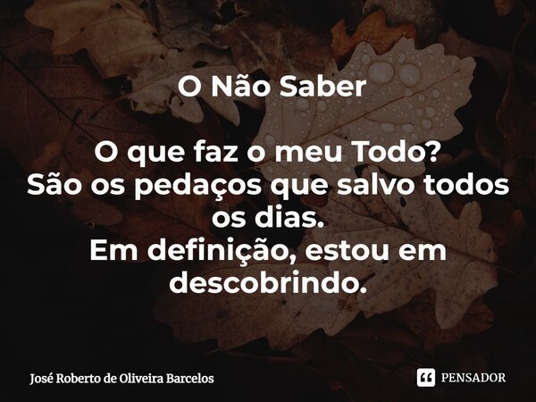 ⁠⁠ O Não Saber O que faz o meu Todo? São os pedaços que salvo todos os dias. Em definição, estou em descobrindo.... Frase de JOSE ROBERTO DE OLIVEIRA BARCELOS.