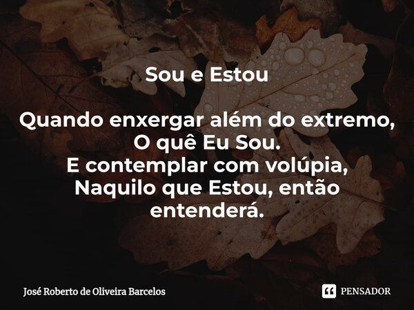Sou e Estou Quando enxergar além do extremo, O quê Eu Sou. E contemplar com volúpia, Naquilo que Estou, então entenderá.⁠... Frase de JOSE ROBERTO DE OLIVEIRA BARCELOS.