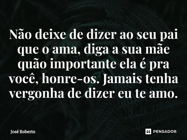 Não deixe de dizer ao seu pai que o ama, diga a sua mãe quão importante ela é pra você, honre-os. Jamais tenha vergonha de dizer eu te amo.... Frase de José Roberto.