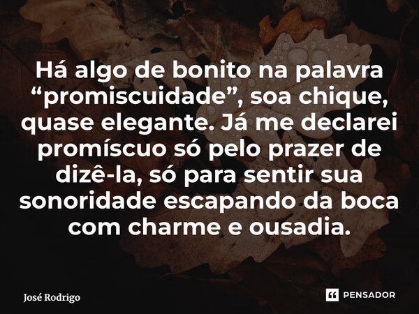 ⁠Há algo de bonito na palavra “promiscuidade”, soa chique, quase elegante. Já me declarei promíscuo só pelo prazer de dizê-la, só para sentir sua sonoridade esc... Frase de José Rodrigo.