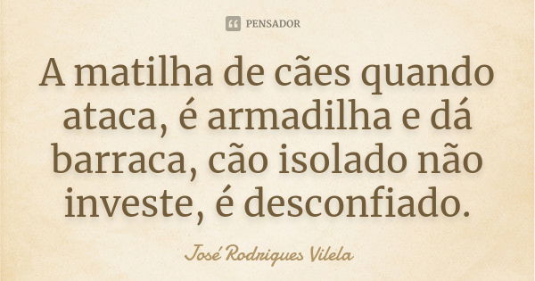 A matilha de cães quando ataca, é armadilha e dá barraca, cão isolado não investe, é desconfiado.... Frase de José Rodrigues Vilela.