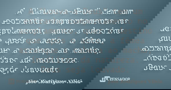 A "Louva-a-Deus" tem um estranho comportamento no acoplamento, quer o destino que após o acto, a fêmea arranque a cabeça ao macho, insólitos da nature... Frase de José Rodrigues Vilela.