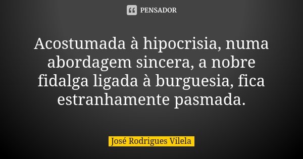 Acostumada à hipocrisia, numa abordagem sincera, a nobre fidalga ligada à burguesia, fica estranhamente pasmada.... Frase de José Rodrigues Vilela.